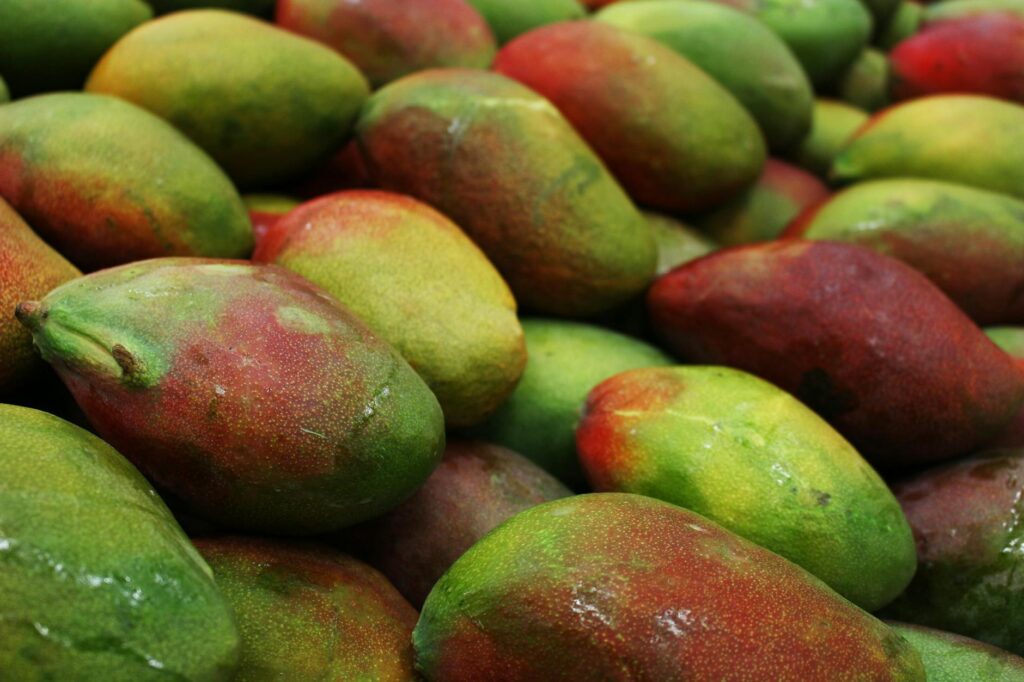 MANGOS